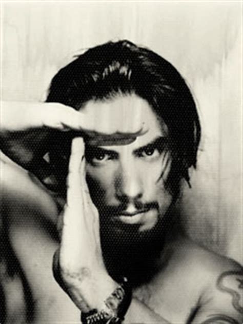 dave navarro gay|I am not gay, Dave Navarro Stated, Confirming His Sexual。